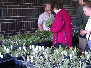 Vente de plantes du MNP avec John Morgan de Prairie Habitats