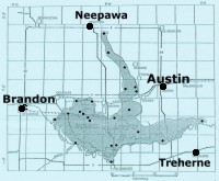 Map of the skink's range