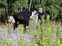 Hand-weeding